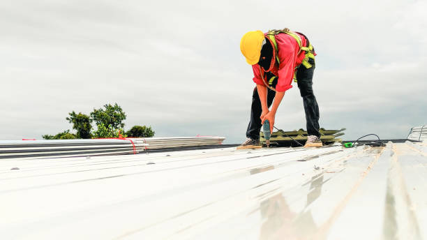 Best Roof Leak Repair  in Craig Beach, OH
