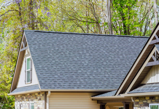 Best Chimney Flashing Repair  in Craig Beach, OH