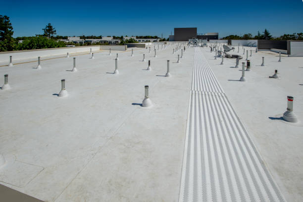 Best Asphalt Shingle Roofing  in Craig Beach, OH